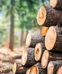 Wood Logs